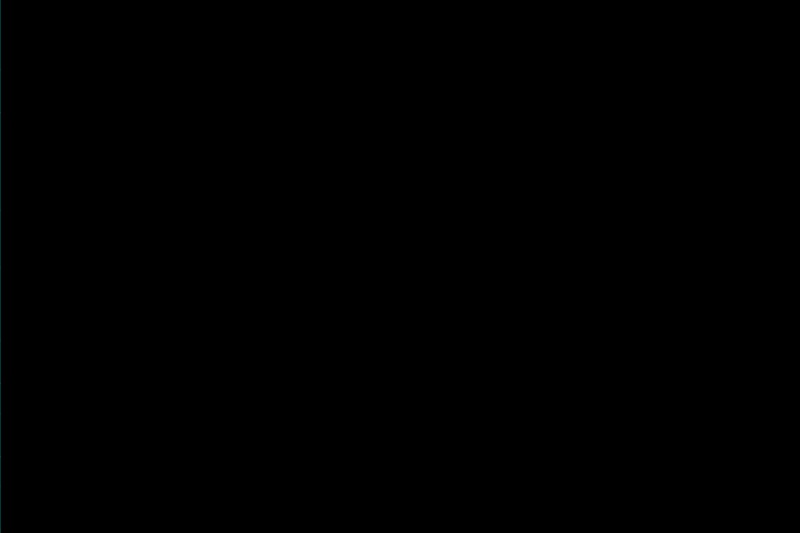 1696425345797.jpg