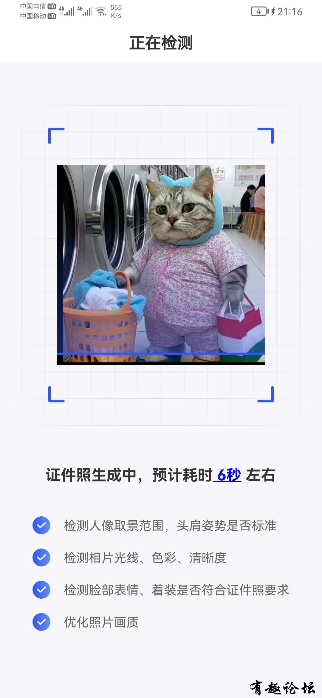 1717310390612.jpg