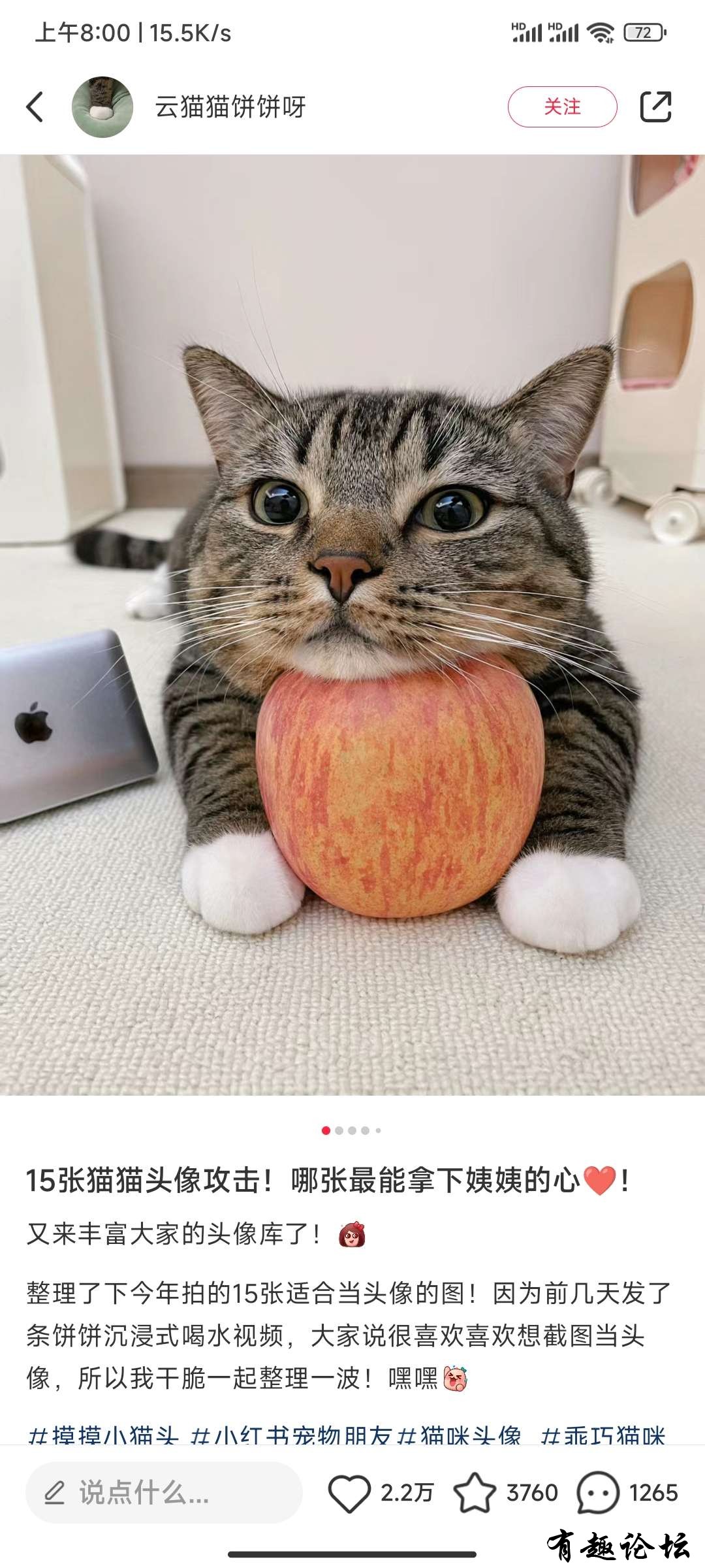 1718029058957.jpg